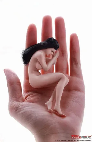 1/12 Scale Female Action Figure,6inches Pale Skin Super-Flexible Seamless Girl Action Figure Doll PHMB2018-T01A