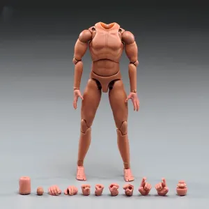 1/12 Scale Muscular Male Body Half-Wrapped Rubber Stainless Steel Joint Body Flexible Europe Skin No Neck Body for 6 Inches Action Figure Collection Gift