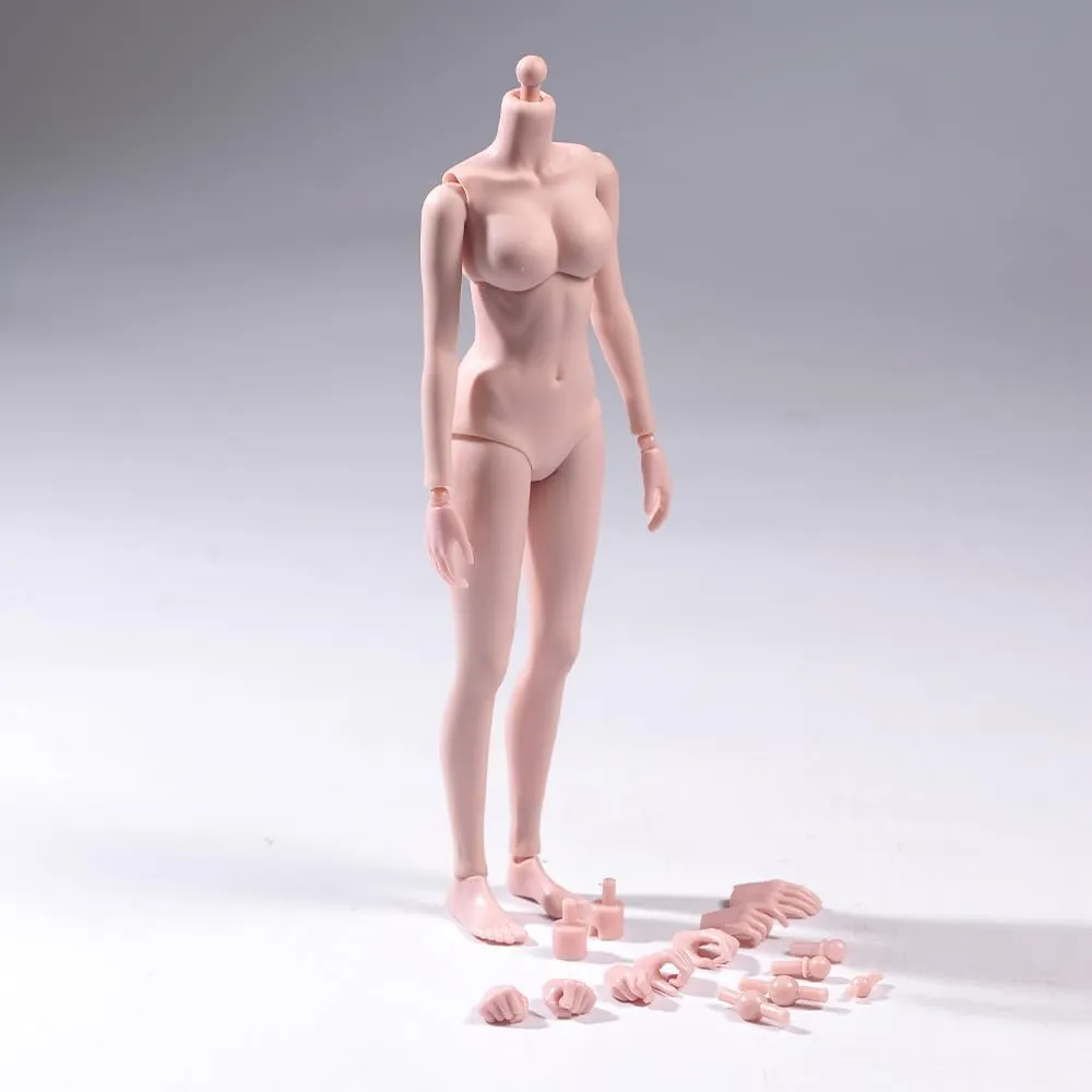 1/6 Scale Female Body 12inch Flexible Pale Skin Half-Seamless Action Figure Body Doll Collection (Large Bust)