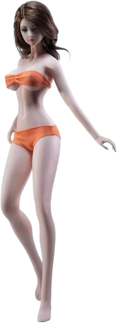 1/6 Scale Female Body,12inch Female Super Flexible Pale Skin Large Bust Tall and Slender Seamless Action Figure Body Collection (S40 Include Head Sculpt)