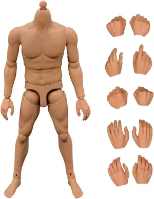 1/6 Scale Male Action Figure,12inch Europe Skin Muscular Body Doll for Soldier Action Figure Collection