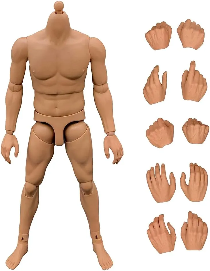 1/6 Scale Male Action Figure,12inch Europe Skin Muscular Body Doll for Soldier Action Figure Collection