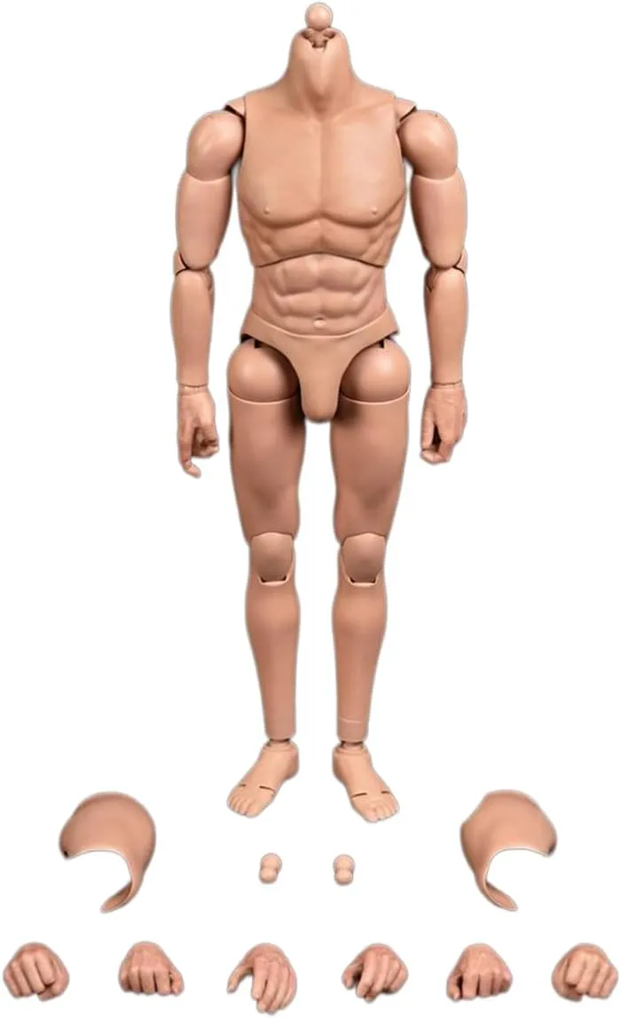 1/6 Scale Male Body,12inch Male Joint Flexible Military Soldier Muscular Action Figure Body Collection (Standard Version with Non-Detachable Neck)
