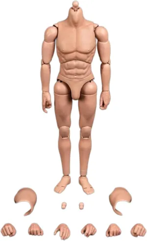 1/6 Scale Male Body,12inch Male Joint Flexible Military Soldier Muscular Action Figure Body Collection (Standard Version with Non-Detachable Neck)