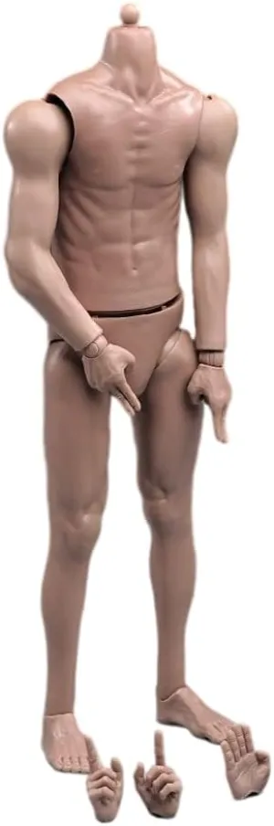 1/6 Scale Male Body,12inch Male Strong Muscular Flexible Action Figure Soldier Body Doll Collection (Standard Version)