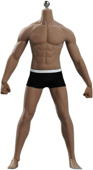 1/6 Scale Male Body,12inch Super Flexible Male Seamless Strong and Handsome Suntan Skin Muscular Action Figure Body Doll Collection (M33)