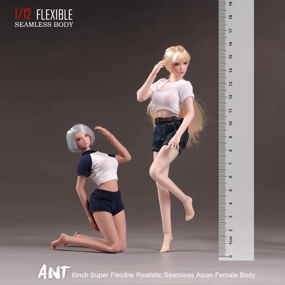 1/12 Scale Female Body, 6 inches Super Flexible Steel Skeleton 22 Joints Seamless Body with Removable Feet Large Breast Model for 6" Miniature Solider Action Figure Hobby Collection (Pale Skin)