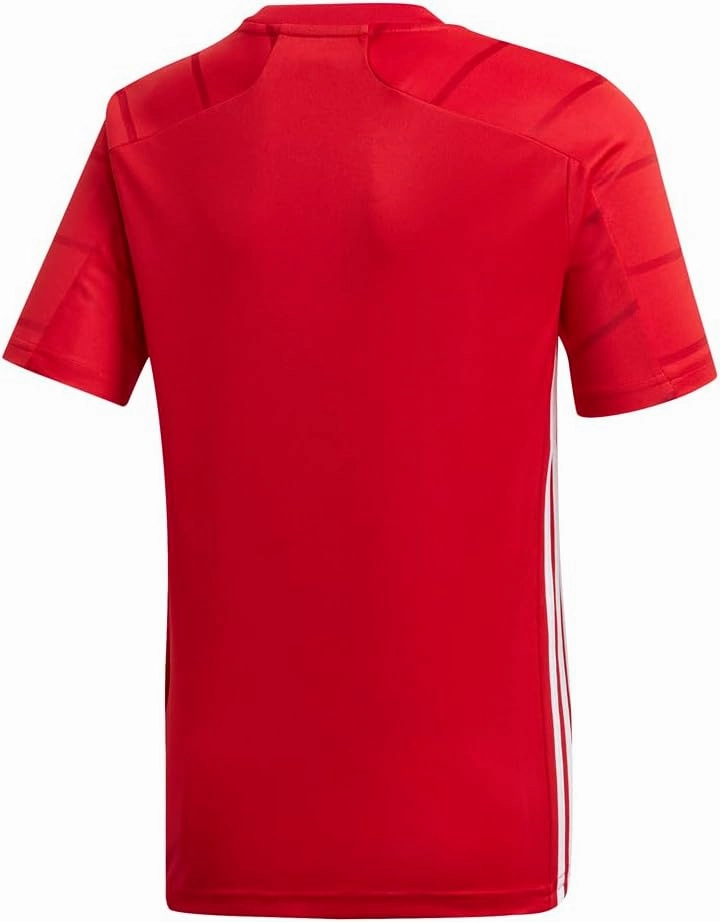 Adidas Women's Crewneck