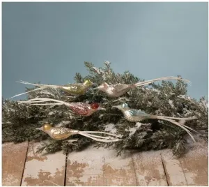 Bethany Lowe Mini Bird with Feather Tail Clip-On Christmas Ornament Set of 5