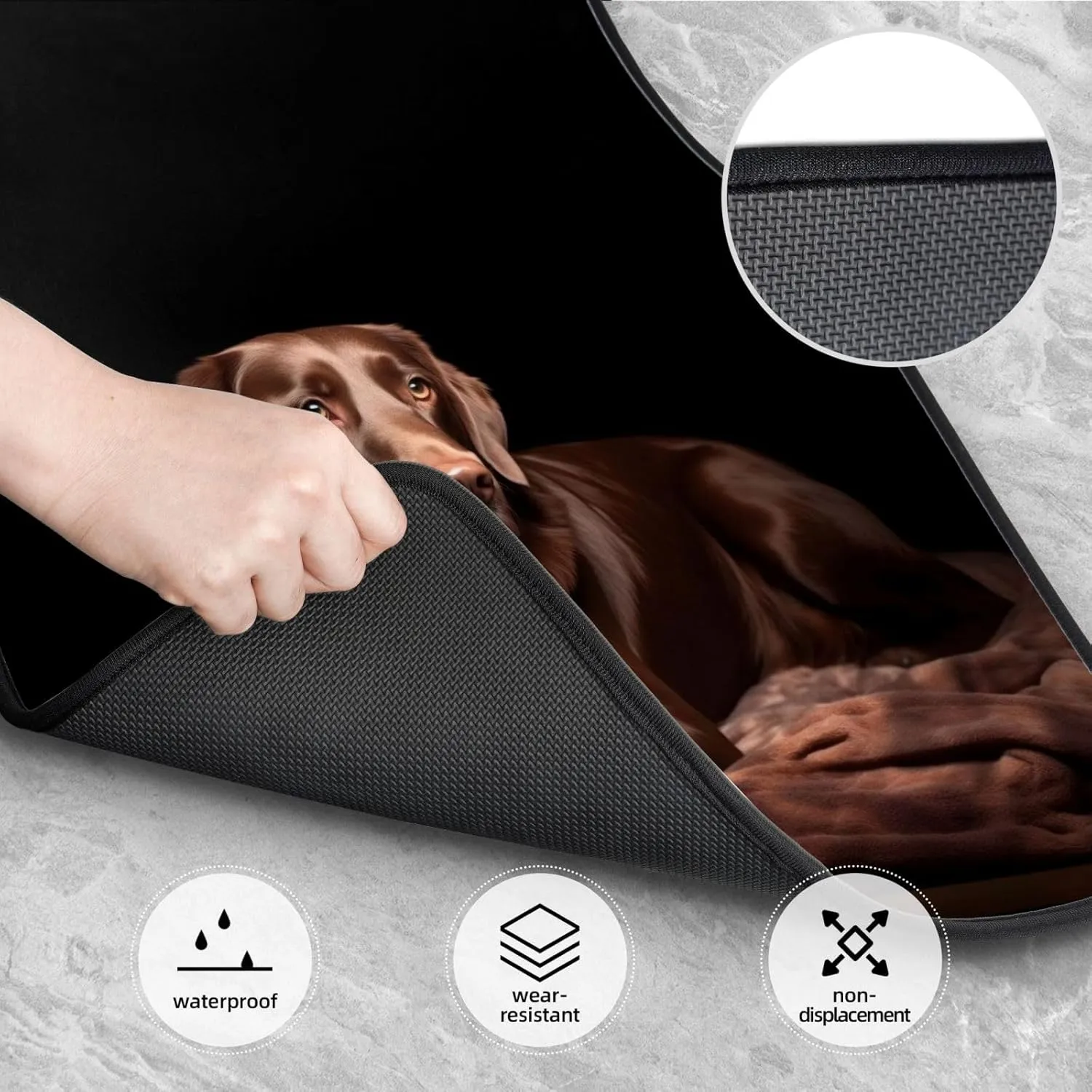 Brown Labrador Universal Car Floor Mats, Car Foot Mat Set of 4 Pieces, Automotive Front Rear Floor Foot Mats, Anti-Slip Neoprene Car Floor Rugs,for Suvs, Sedans, Van, Trucks