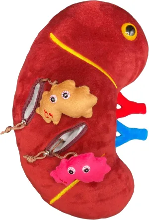 GIANTmicrobes Deluxe 12" Kidney Plush with Kidney Stones, Kidney Stuffed Animal, Kidney Transplant Gifts, Kidney Donor Gifts, Kidney Pillow, Urology Gifts, Nephrology Gifts, Dialysis Nurse Gifts
