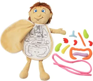 Human Body Organs Plush for Educational Anatomy Model for Intellectual Development for Home and Kindergarten Learning Activities for Boys
