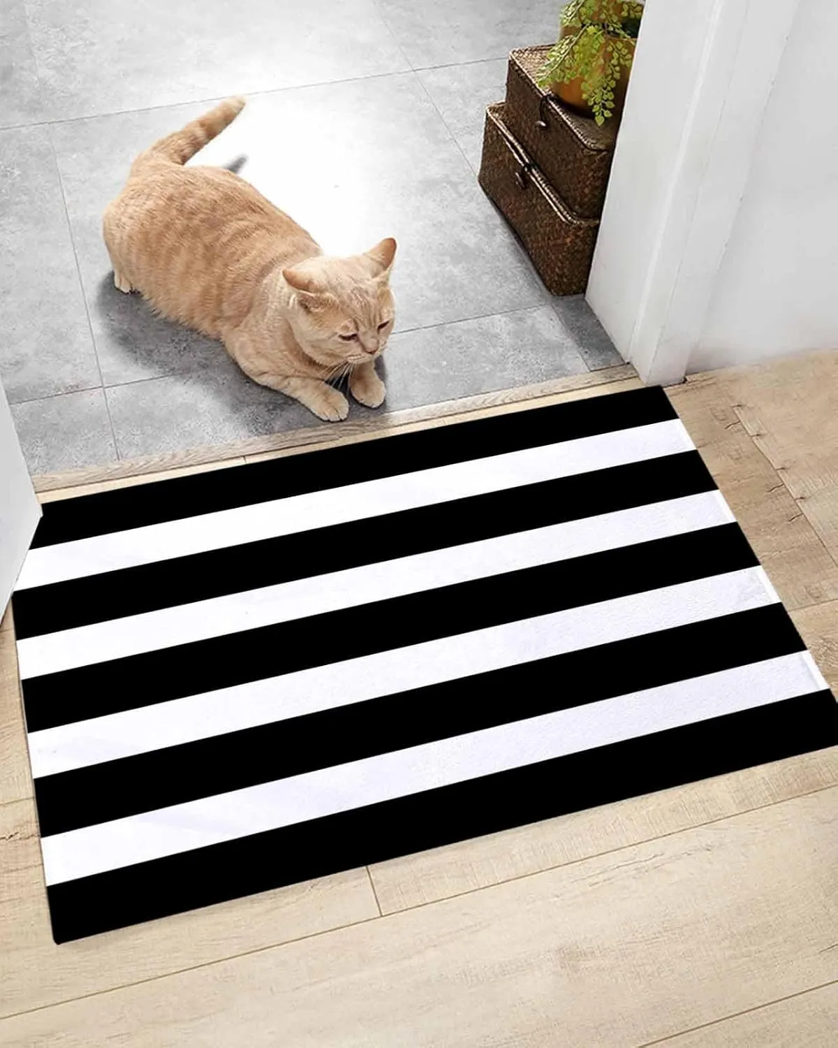 Indoor Doormat Modern Stripes Lines,Shaggy Floor Mat with Non-Skid Backing Classic Black and White,Machine Washable Plush Area Rug Carpets for Kitchen Nursery Bedroom