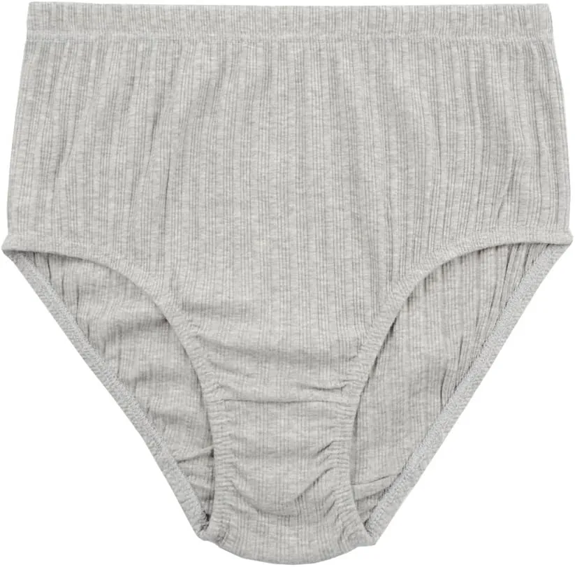 KNITLORD Women's Plus Size Underwear Cotton 6 Pack High Waisted Briefs Panties