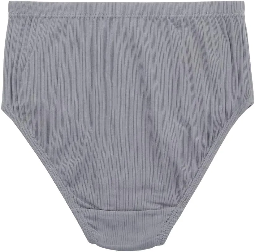 KNITLORD Women's Plus Size Underwear Cotton 6 Pack High Waisted Briefs Panties