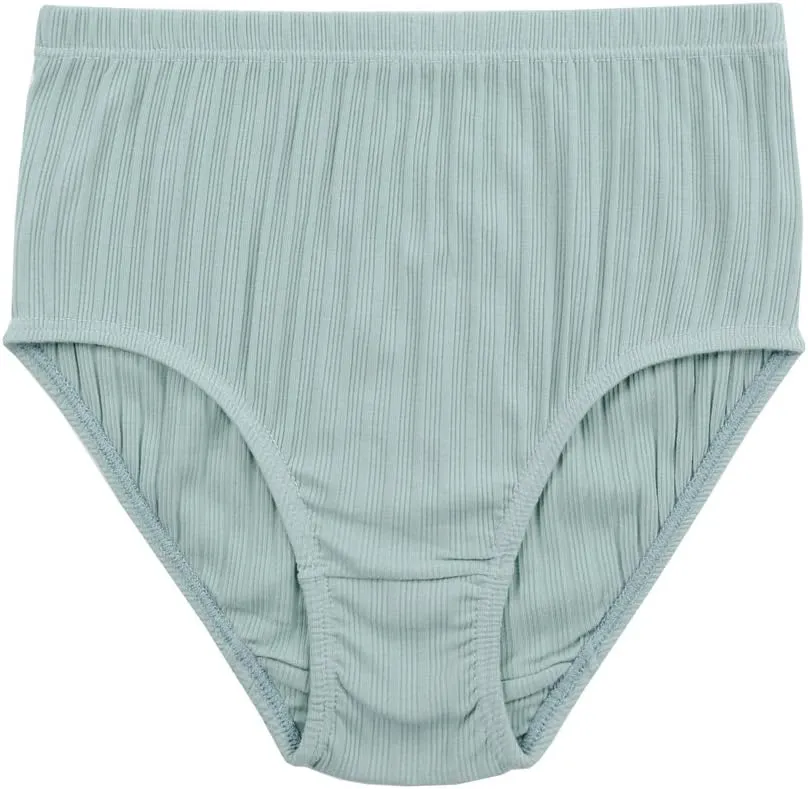 KNITLORD Women's Plus Size Underwear Cotton 6 Pack High Waisted Briefs Panties