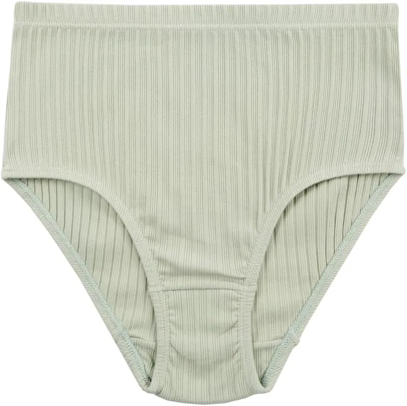 KNITLORD Women's Plus Size Underwear Cotton 6 Pack High Waisted Briefs Panties