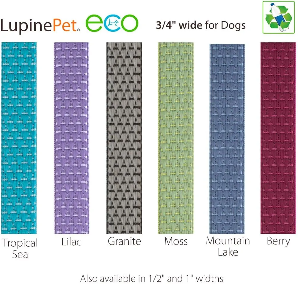LupinePet Eco 3/4" Mountain Lake 6-Foot Padded Handle Leash for Medium and Larger Dogs