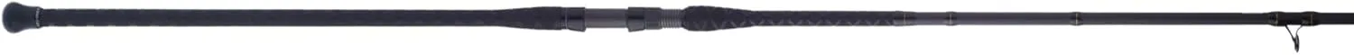PENN Squadron III Surf Conventional Fishing Rod