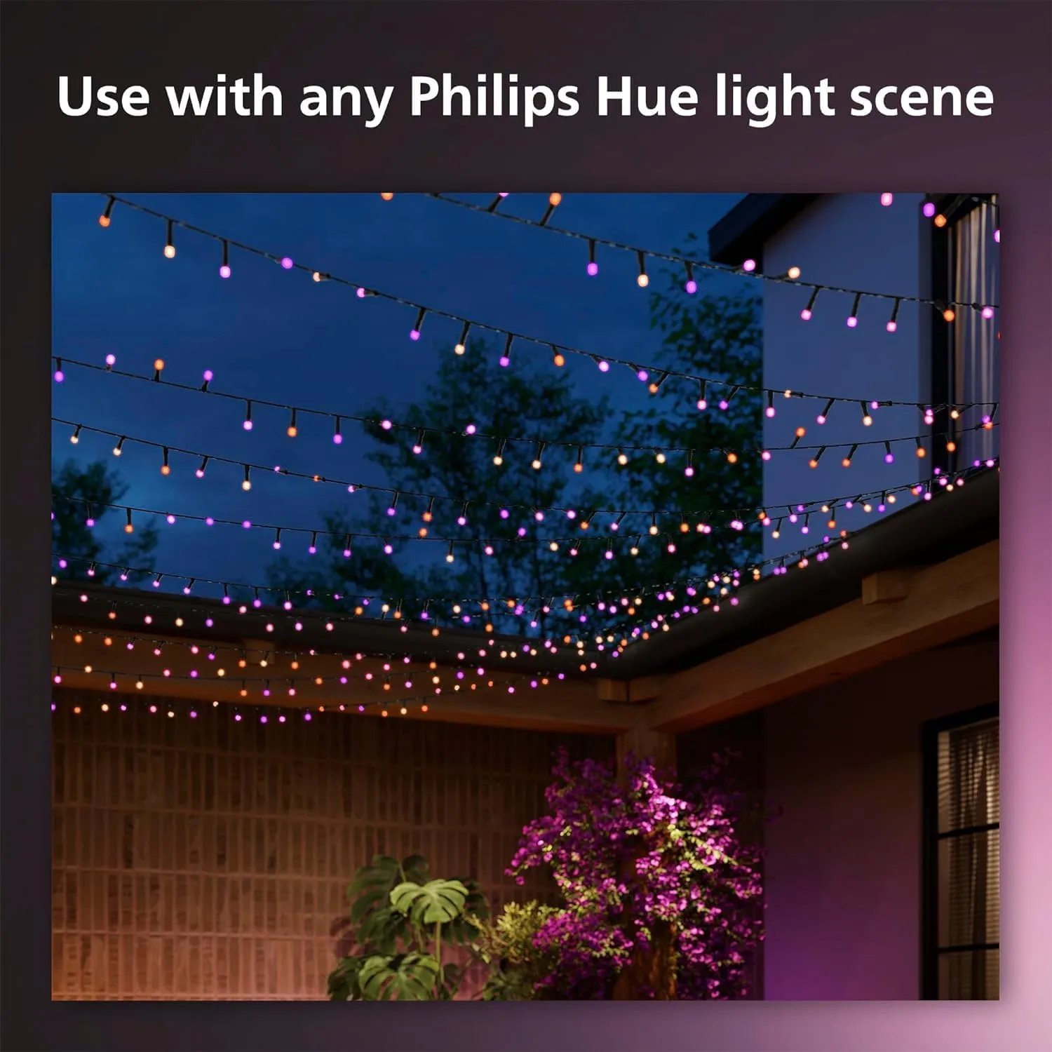 Philips Hue Indoor/Outdoor Holiday 65-Foot Festavia String Lights - 250 Mini Color Changing Smart LEDs - Weatherproof - Control with Hue App - Works with Alexa, Google Assistant and Apple HomeKit