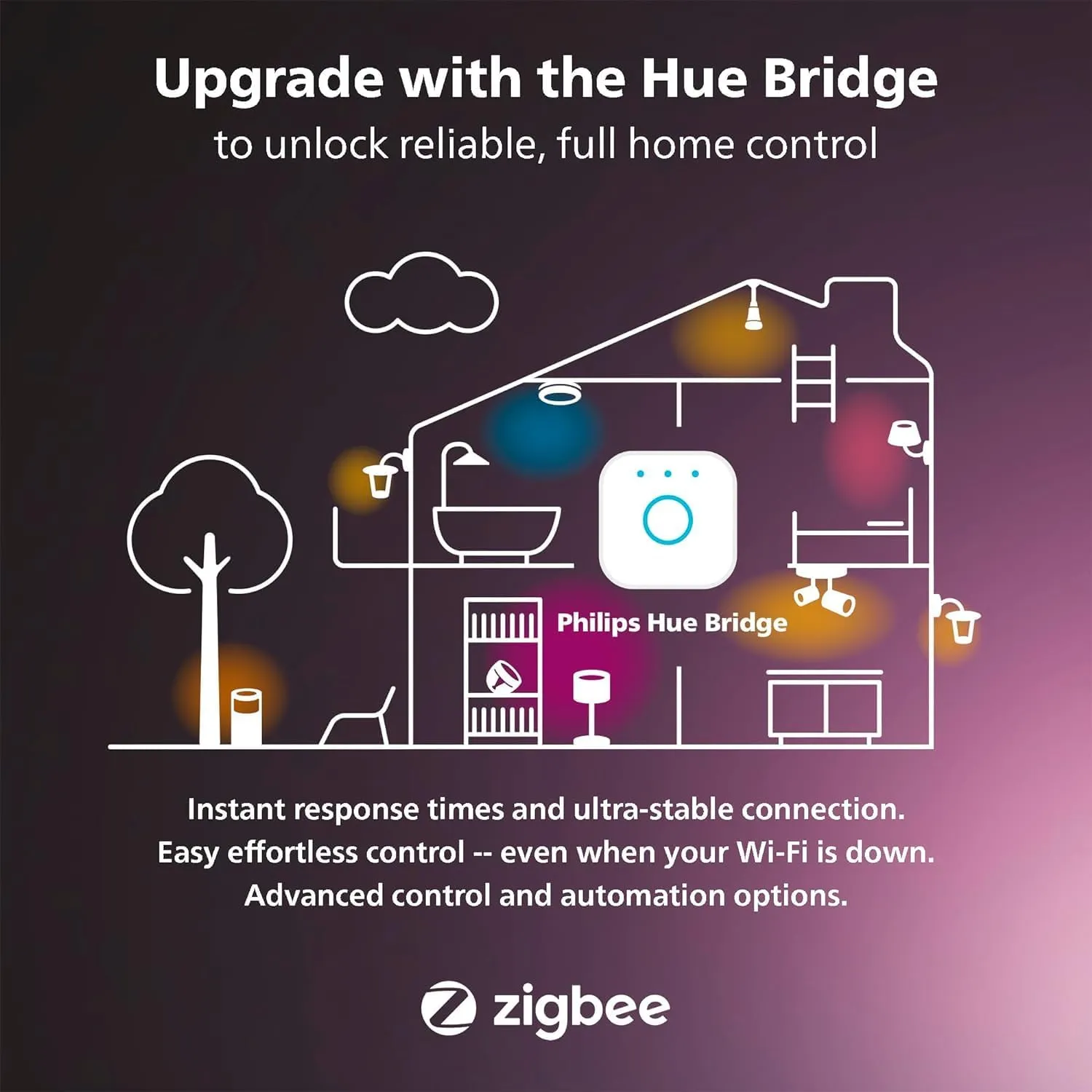 Philips Hue Indoor/Outdoor Holiday 65-Foot Festavia String Lights - 250 Mini Color Changing Smart LEDs - Weatherproof - Control with Hue App - Works with Alexa, Google Assistant and Apple HomeKit