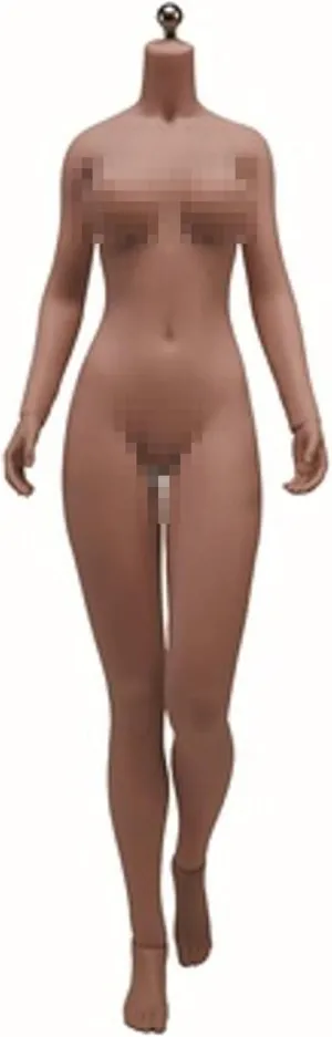 TBLEAGUE 1/6 Scale Super Flexible Female Seamless Body for 12 inch Woman Action Figure S48B,Brown